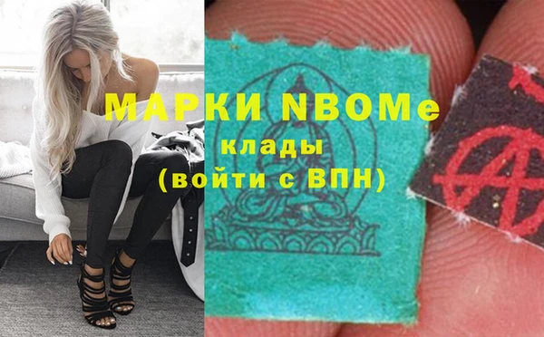 стафф Михайловка