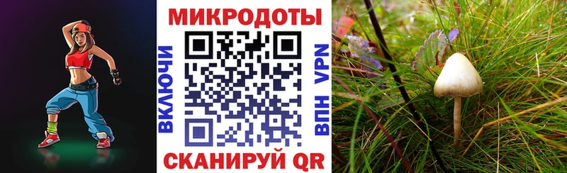 Псилоцибиновые грибы GOLDEN TEACHER Чапаевск