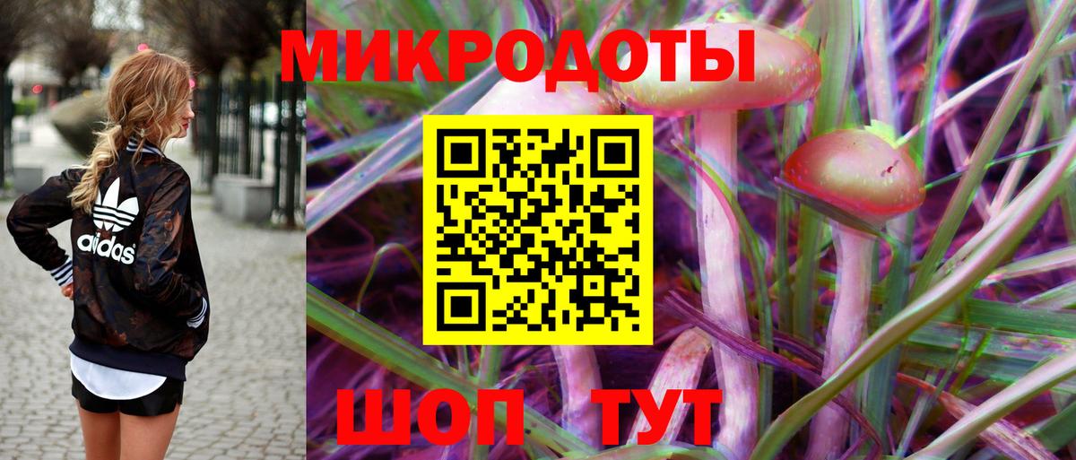 Псилоцибиновые грибы Psilocybine cubensis Чапаевск