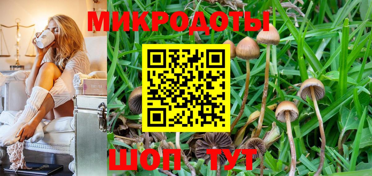 Чапаевск  Псилоцибиновые грибы GOLDEN TEACHER  Вход с VPN  Галлюциногенные грибы Cubensis 